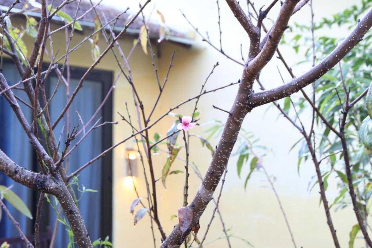 L'Amant Homestay Dalat Luaran gambar