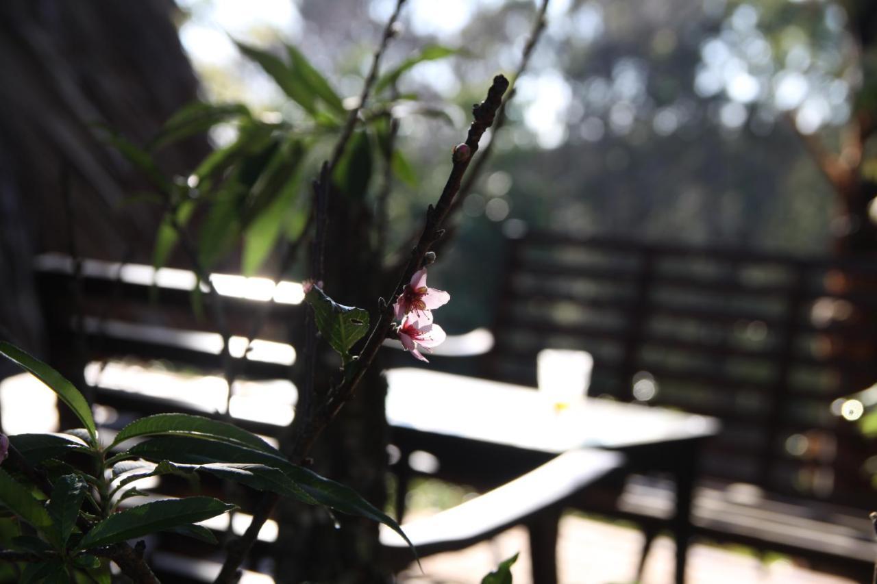 L'Amant Homestay Dalat Luaran gambar