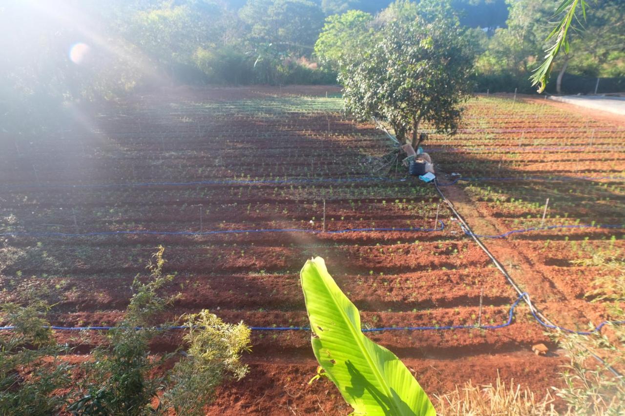 L'Amant Homestay Dalat Luaran gambar