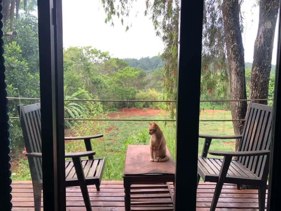 L'Amant Homestay Dalat Luaran gambar